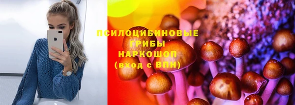 прущая мука Алзамай